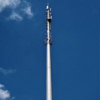 Tour de télécommunication sur mesure de 25 m avec antennes