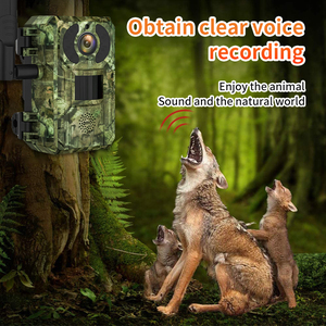 4MP Ngoài Trời 4G Săn Bắn Máy Ảnh Với Năng Lượng Mặt Trời Bảng Điều Khiển Không Thấm Nước Động Vật Hoang Dã Rừng PIR Phát Hiện Đường Mòn Máy Ảnh Ucon - Product Image 6