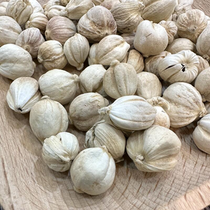 Erbe cinesi intere naturale <span class=keywords><strong>Elettaria</strong></span> cardamomo premio erba secca per la salute dell'apparato digerente - Product Image 4