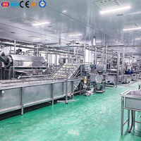 Automatische industriële sap productielijn, ananassap productielijn