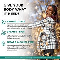 Vente en gros OEM Goutte lymphatique organique Gouttes de soutien lymphatique Supplément de nettoyage lymphatique pour le soutien immunitaire Liquide de désintoxication lymphatique