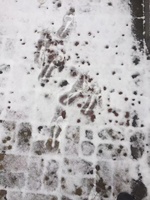 Sel de déneigement MELTWAY de qualité industrielle, série CMA, CaMg Ac, pureté 94%-96%, granulés vert clair, fabriqué en Chine