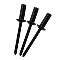 Rivetti Ciechi a Testa Bombata All'ingrosso per Fabbriche, Scatola da 3.2x12.7mm, Rivetti Ciechi a Punta Aperta in Acciaio Inossidabile 304, 1/8 X 1/2, Scatola DIN7337