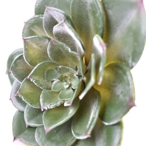 Đầy Màu sắc nhựa nhân tạo mọng nước cây nhà văn phòng trang trí Faux cây xanh cho lễ hội Tạ Ơn Halloween - Product Image 6