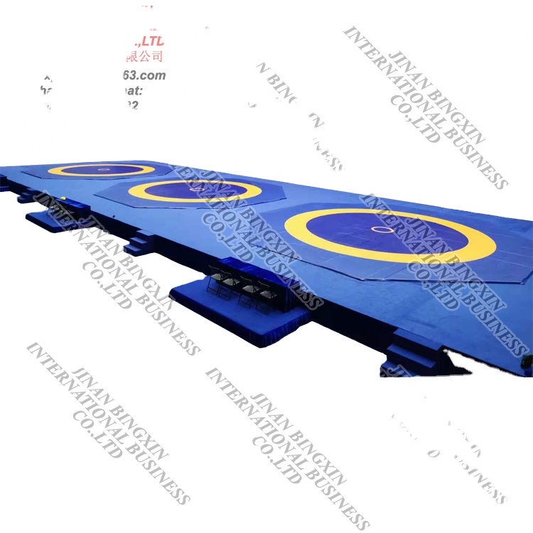 Надежный завод хорошее качество коврики для боевых искусств маты для борьбы за конкуренцию и обучение