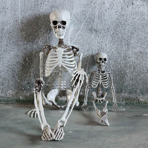 <span class=keywords><strong>D</strong></span>écoration de maison animée <span class=keywords><strong>d</strong></span>'accessoires de fête squelette <span class=keywords><strong>d</strong></span>'Halloween grandeur nature - Product Image 1