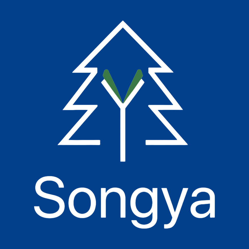 Ningbo Songya Intelligent Technology Co., Ltd. logo