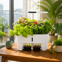Machine de culture hydroponique moderne à faible coût et facile à utiliser pour légumes, fruits et fleurs – Idéale pour la culture en intérieur