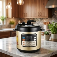 Cuisinière à pression électrique GB-PCA2 6L 1000W, boîtier en acier inoxydable, cuve intérieure en fer-aluminium, contrôle par micro-ordinateur