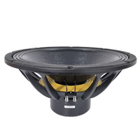 Sistema de Sonido Line Array Personalizado Altavoz para DJ 3000W Altavoz de 21" Bobina de Voz de 6"