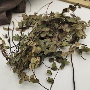 Fougère de Fer Naturelle Séchée Premium (Herbe de Poils de Porc) pour la Toux, la Chaleur Pulmonaire et la Détoxification - Vente en Gros OEM TCM - Product Image 1