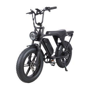 Vélo électrique tout-terrain rétro BAOLUJIE 48v 750W à pneus larges, 50 km/h, pour l'aventure sur la neige et la montagne - Product Image 2