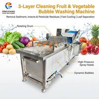 Aangepaste Triple Action Air Bubble groente- en fruitwasmachine met roterende trommel en sproeisysteem CE WA-2000