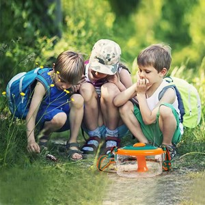 Kid côn trùng quan sát hộp <span class=keywords><strong>Bug</strong></span> Viewer ràng buộc <span class=keywords><strong>Catcher</strong></span> Bộ sưu tập Kit container lồng thiên nhiên khoa học thăm dò giáo dục đồ chơi - Product Image 5