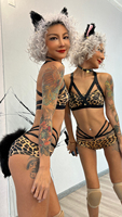 Vente chaude Satin Tissu Dames Sexy Soutien-Gorge Top Workout Fitness Vêtements Plus La Taille Léopard Cosplay Taille Basse Pantalon Pole Dance Wear