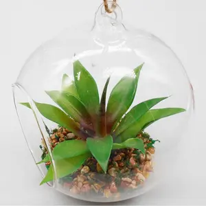 Wholesale New Transparent Sphere Glass Ball Plant Terrarium With Concrete And Stone Base