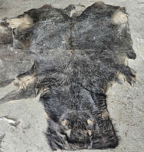 Reliable Supply Double Faced Wet Salted Buffalo Hides and Cowhides <b>Raw</b> <b>Skins</b> for Global Leather Tanning Operations - Product Image 1