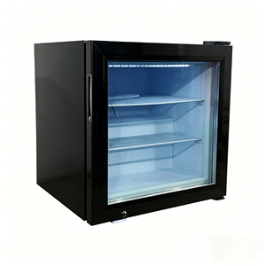 NE-55D-12 Mini-congélateur de comptoir à porte vitrée simple pour aliments surgelés, vitrine réfrigérée pour glaces - Product Image 6