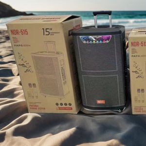 NDR-515 chuyên nghiệp 15-inch BT Stereo Hifi bằng gỗ không dây karaoke Loa điện lớn bass Xe đẩy ngoài trời bên máy tính sử dụng - Product Image 4