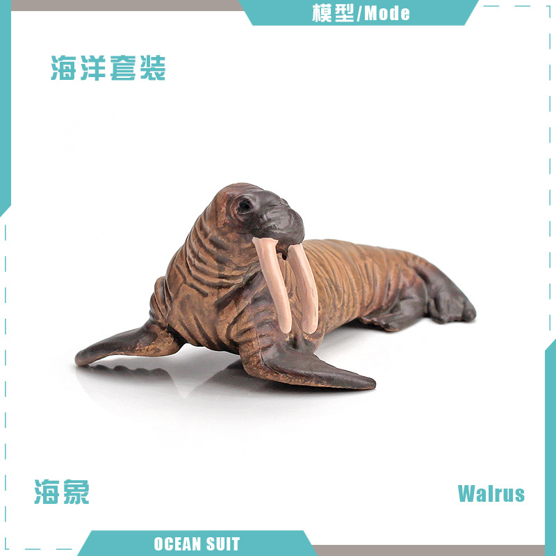 บีแอล-5054 วอลรัส 10 กรัม