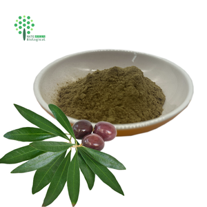 Poudre d'extrait de feuille d'olivier 10% acide maslinique HPLC - Product Image 2