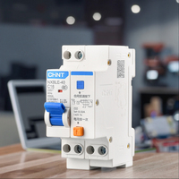 Chint NXBLE-32 2P DPNL Disjoncteur à courant résiduel RCBO Tailles de protection C6 C10 C16 C20 C25 C32