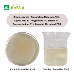 Oligosaccharides d'algues (AOS) – Extrait d'algues brunes – Biostimulant liquide – Biofertilisant pour améliorer la tolérance au stress abiotique - Product Image 2