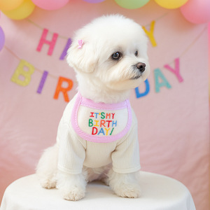 Bandanas pour fête d'anniversaire d'animaux de compagnie, motif ours, ensemble mignon de bavoir et chapeau pour chien, anniversaire de chien - Product Image 2