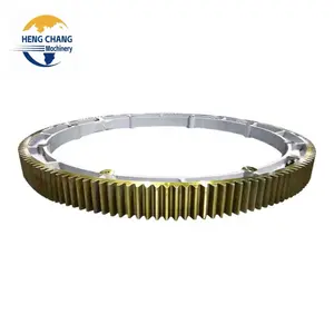 Factory Hot selling Oem Custom Industrial Large Diameter Iron Outer Spur Helical Segmented Steel Gear Ring