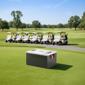 Batterie au lithium-fer 36V 38.4V 100Ah 104Ah 120Ah 150Ah 200Ah 280Ah 314Ah 392Ah 588Ah pour voiturette de golf, 6000 cycles - Product Image 1