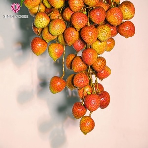 Chất Lượng Cao Cấp Nhập Khẩu Lớp 1 Tươi Vải Trái Cây Nhiệt đới Chất Lượng Lựa Chọn Cho Tiêu thụ Vải - Product Image 3