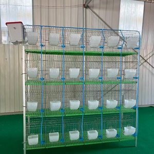 Fabricant Professionnel de Cages Commerciales à 4 Niveaux et 24 Compartiments pour l'Élevage de Lapins - Product Image 1