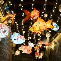 Lanterne chinoise artisanale en soie imperméable en forme de poisson pour la décoration de rues commerciales