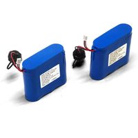 Paket Baterai Lithium-ion 11.1V 14.8V yang Dapat Disesuaikan dan Dapat Diisi Ulang untuk Lampu Jalan Tenaga Surya dengan Layar LCD, Tersedia OEM/ODM