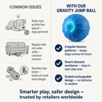 Jouets pour animaux de compagnie, rechargeables par USB, écologiques, durables, pour chien, balle rebondissante, gadget d'auto-entretenissement