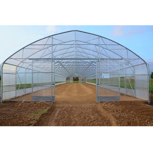 Precio de fábrica Marco de acero galvanizado en caliente Hoja de plástico Invernadero de un solo tramo Invernadero de túnel para vegetales agrícolas - Product Image 4
