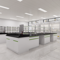Ensemble de mobilier de laboratoire scolaire : Postes de travail, stations de rangement et stations pédagogiques tout en acier pour les nouvelles salles de sciences