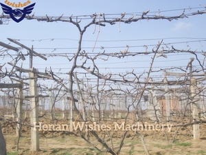 Máquina para Hacer Postes de Viñedo de 80*100 mm, Máquina para Hacer Postes de Viñedo Prefabricados, Máquina para Formar Postes de Uva de Hormigón para Australia y Nueva Zelanda - Product Image 6