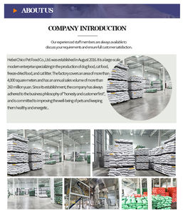 צ 'יקו בחר מזון יבש מותאם אישית עבור כלבים כלבים חתולים מתכונים בשר עשירים עם טעם דגים oem/odm אריזת שקית - Product Image 6