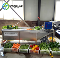 Fruitblancheringsmachine, hete waterblancheringsmachine, machine voor barbecueroergebakken aardappelen