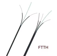 Câble de fibre optique de descente FTTH extérieur noir 1 cœur 1 km LSZH SM/OM1/OM2, communication réseau, certifié CE