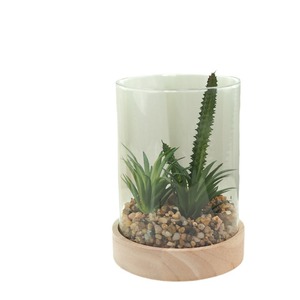 Artificial Succulent Plant Set In Glass Cylinder Wooden Base Decorative Greenery Craft <b>Ornament</b> - Product Image 3