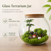 Terrarium en verre borosilicate fait main 20*18cm pour micro-paysage, décoration de mousse, maison, bureau, bureau à domicile