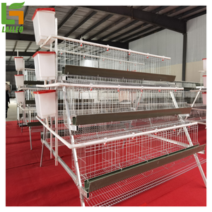 Set completi di gabbie per animali con batteria per pollame - Product Image 4