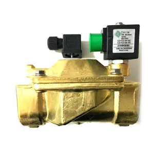 original solenoid valve Two-way solenoid valve 21w5kb350 dn32 220v 12v 110v solenoid switch water valve