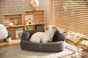 Weiches Plüsch-Haustierbett Abnehmbares Hunde- und Katzenbett Graues Gemütliches Kissen - Product Image 2