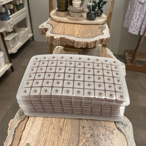 Energinox 600 Counts Refill Pack Acupresión magnética 24K Gold Beads Pellets Ear Seeds - Product Image 5