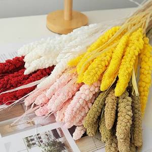 <span class=keywords><strong>Millet</strong></span> oreilles vie éternelle fleurs décoration de la maison bricolage photographie ornement vie éternelle <span class=keywords><strong>Millet</strong></span> oreilles <span class=keywords><strong>Millet</strong></span> fleurs séchées - Product Image 3