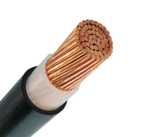 Kabel Daya LV 1-Core YJY NY2Y USE-2 1.5-630mm dengan Isolasi XLPE dan Konduktor Tembaga untuk Penggunaan Konstruksi Industri Bawah Tanah