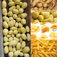 Lignes de production de frites de pommes de terre 100 kg/h - 2 tonnes/h